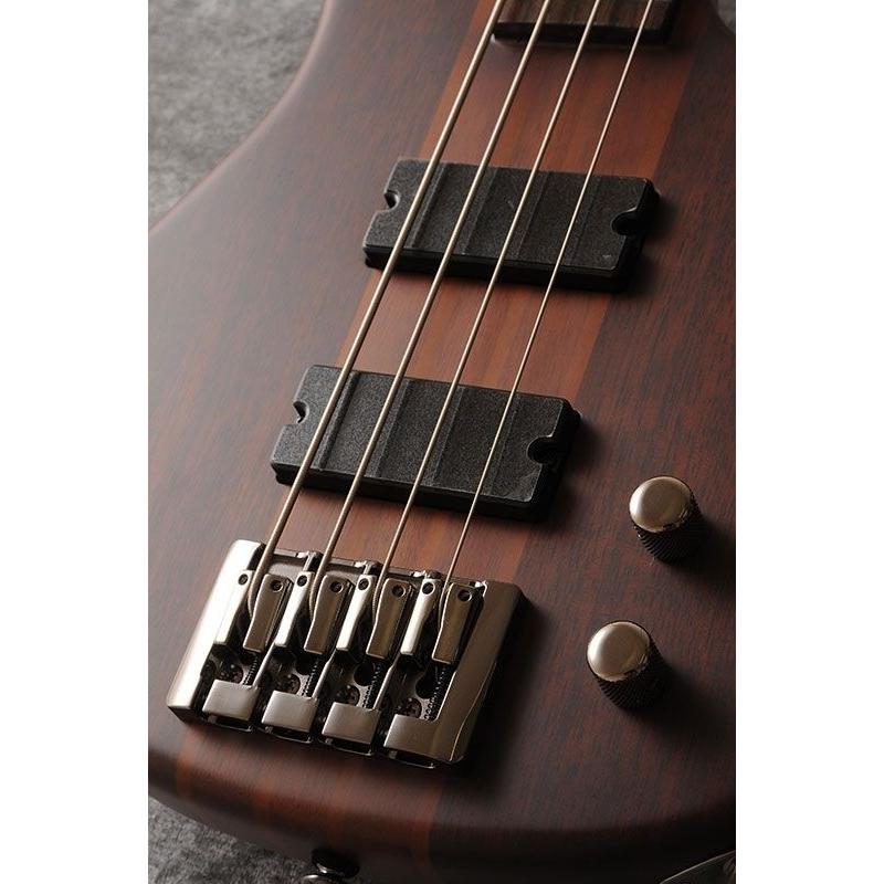 GrassRoots G-D4-75 (NTL/STN)(ベース)(マンスリープレゼント)(ご予約受付中)