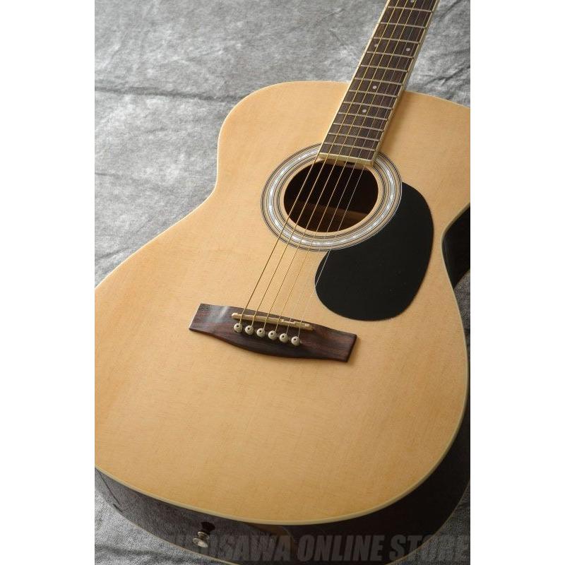 Legend FG-15 N(Natural) (入門用アコースティックギター)(初心者向け)(ソフトケース付属)(マンスリープレゼント)(ご予約受付中)｜kurosawa-music