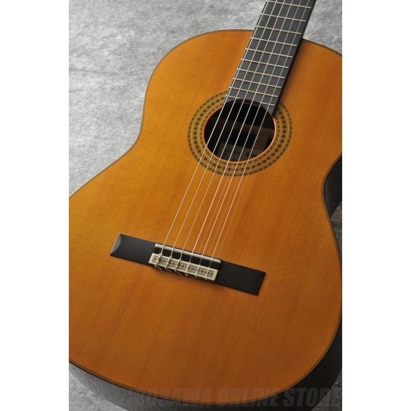 2022新商品 クラシックギター セミハードケース ヤマハ GCシリーズ付属