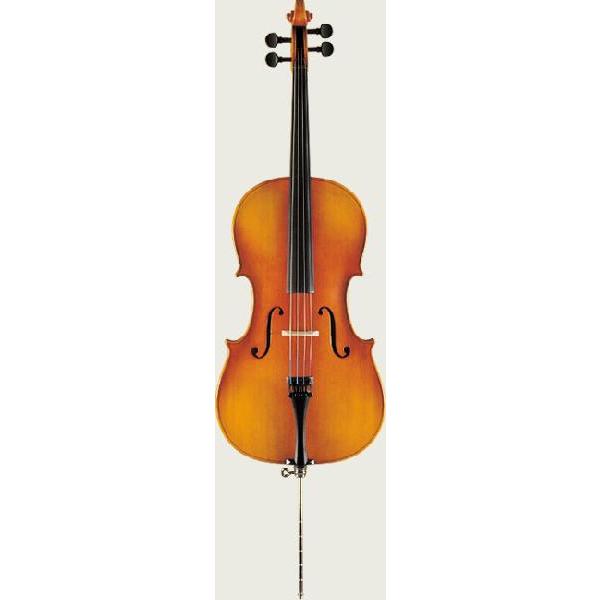 《期間限定！ポイントアップ！》Suzuki スズキ Cello チェロ No.73 1/10(マンスリープレゼント)（お取り寄せ） チェロ