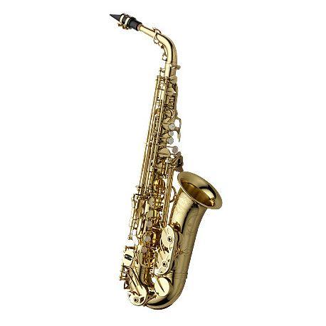 Yanagisawa ヤナギサワ アルトサックス A-WO10 (アルトサックス小物 