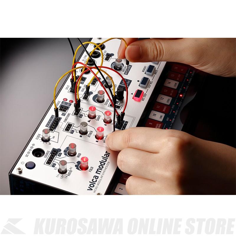 KORG volca modular【送料無料】 《ご予約受付中》｜kurosawa-unplugged｜03