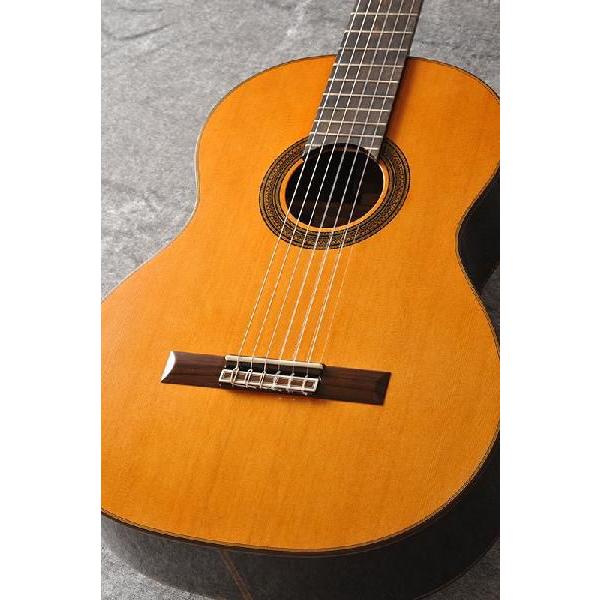 Aria Basic Series A-50C (送料無料)(ご予約受付中)