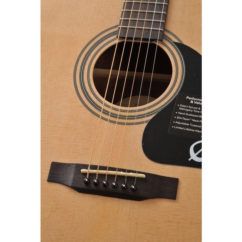 Epiphone / エピフォン DR-100 (Natural)[EA10NACH1] (ご予約受付中 