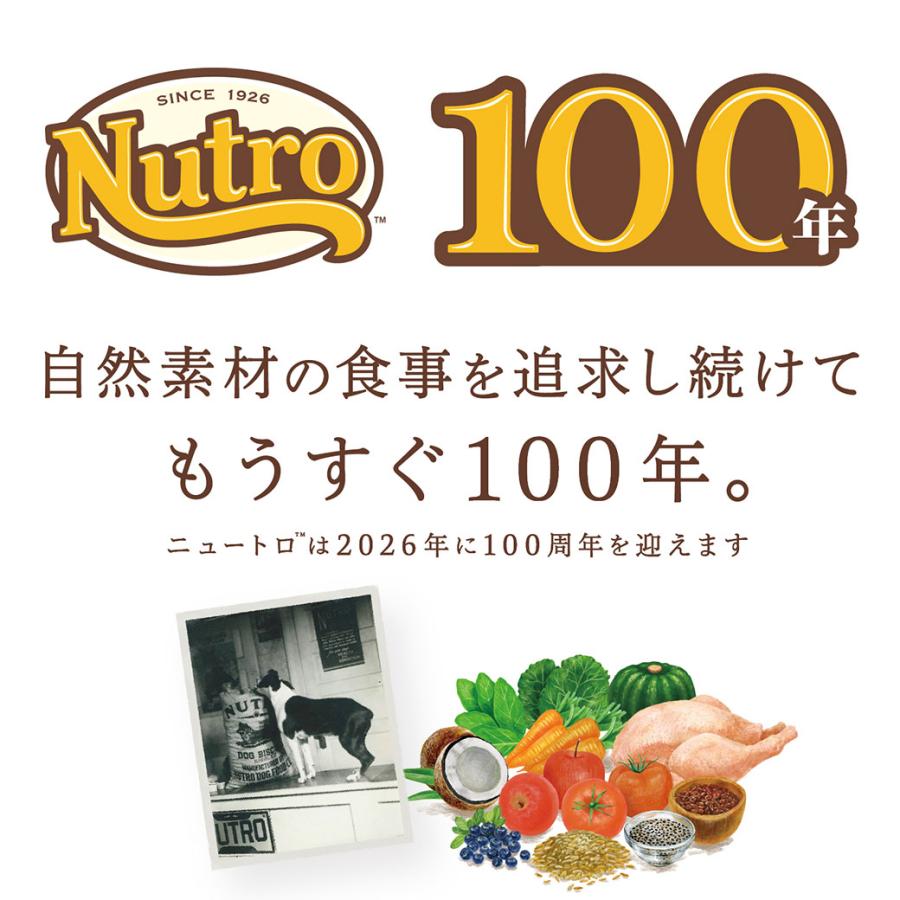 公認店 ニュートロ ナチュラルチョイス ドッグフード 小型犬用 成犬用 生後8ヶ月以上 チキン＆玄米 3kg｜kurosu｜07