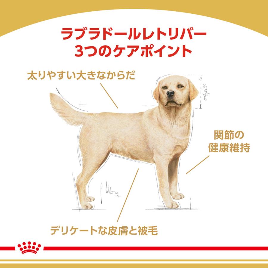 ロイヤルカナン（ROYAL CANIN） まとめ買いでお得！ロイヤル