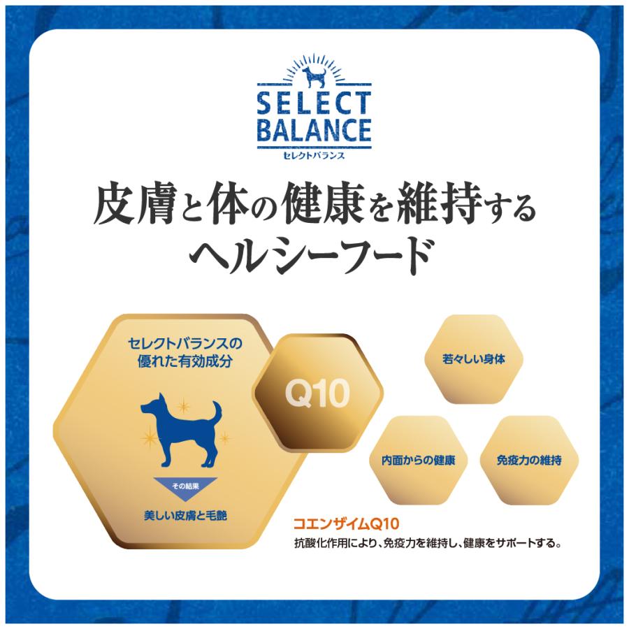 SELECT BALANCE セレクトバランス アダルト（成犬用） チキン 小粒 3kg