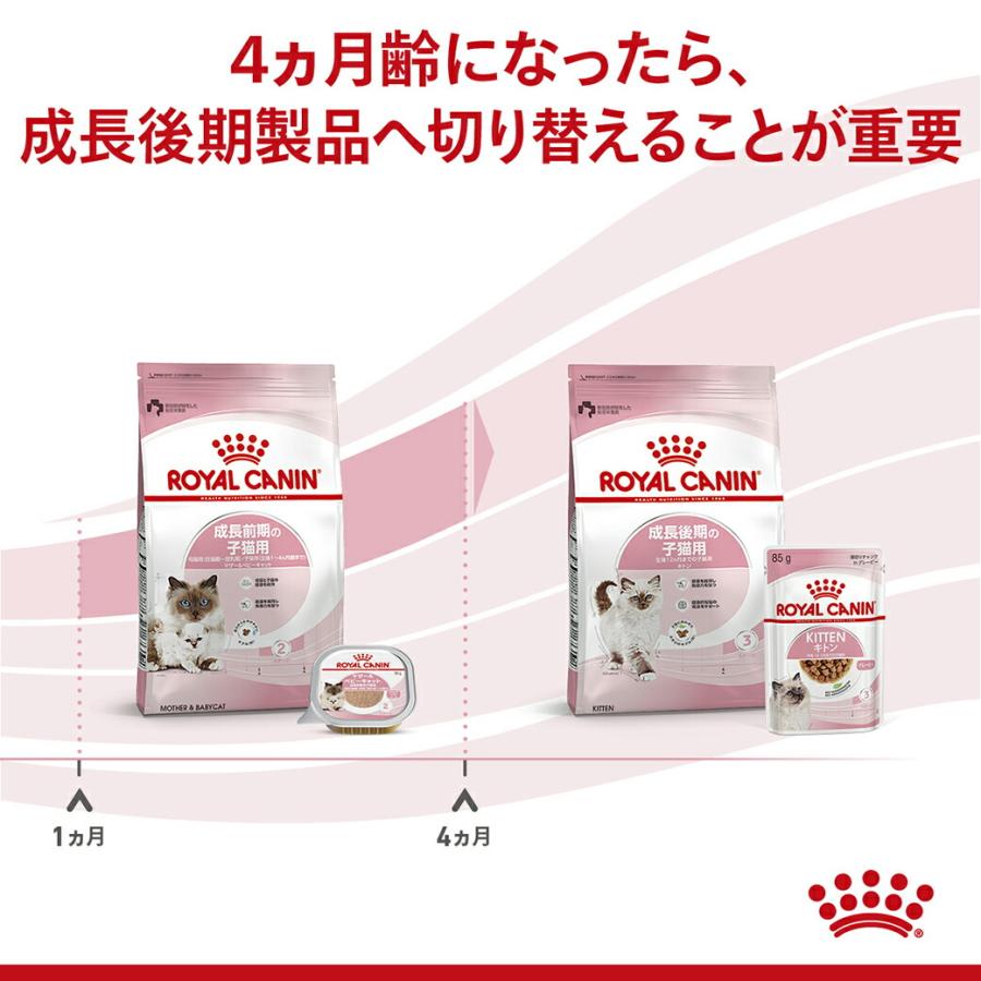 まとめ買いでお得！ロイヤルカナン FHN マザー＆ベビーキャット 成長前期の子猫用 母猫用 2kg ×6袋セット[キャットフード]_4