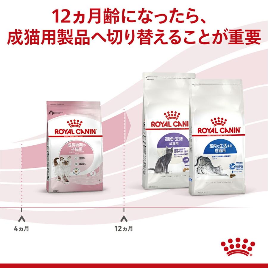 まとめ買いでお得！ロイヤルカナン FHN キトン 成長後期の子猫用 生後12ヵ月までの子猫用 2kg ×6袋セット[キャットフード]_3