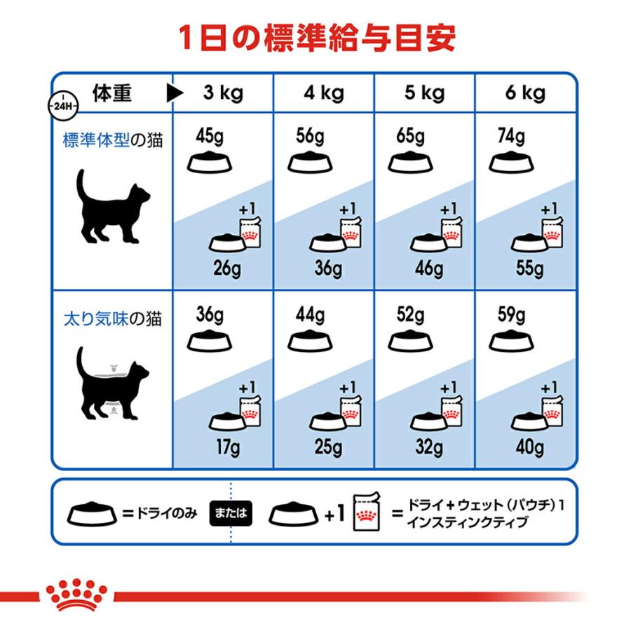 CANIN インドア 成猫用 4kg❌3袋 ロイヤルカナン（ROYAL CANIN） 猫