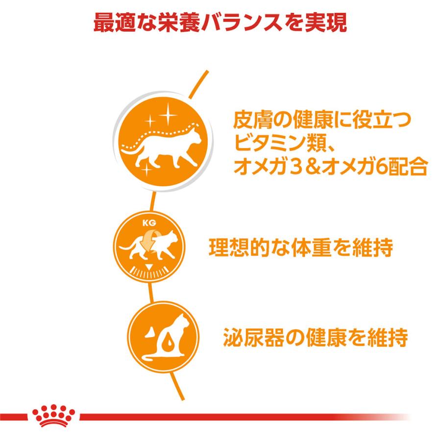 ロイヤルカナン FCN ヘアー＆スキンケア 健康で美しい皮膚・被毛を維持したい成猫用 生後12ヵ月齢以上 2kg [キャットフード] 認定オンラインショップ | ロイヤルカナン | 02