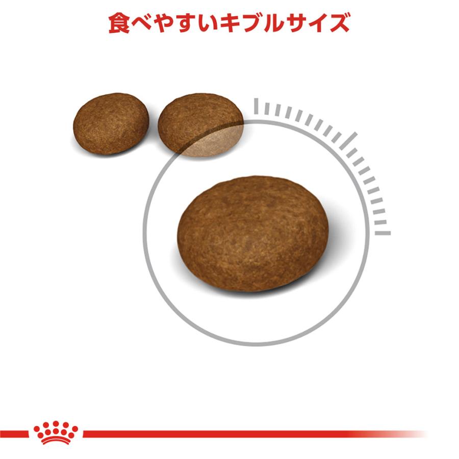 ロイヤルカナン FCN ヘアー＆スキンケア 健康で美しい皮膚・被毛を維持したい成猫用 生後12ヵ月齢以上 2kg [キャットフード] 認定オンラインショップ | ロイヤルカナン | 03