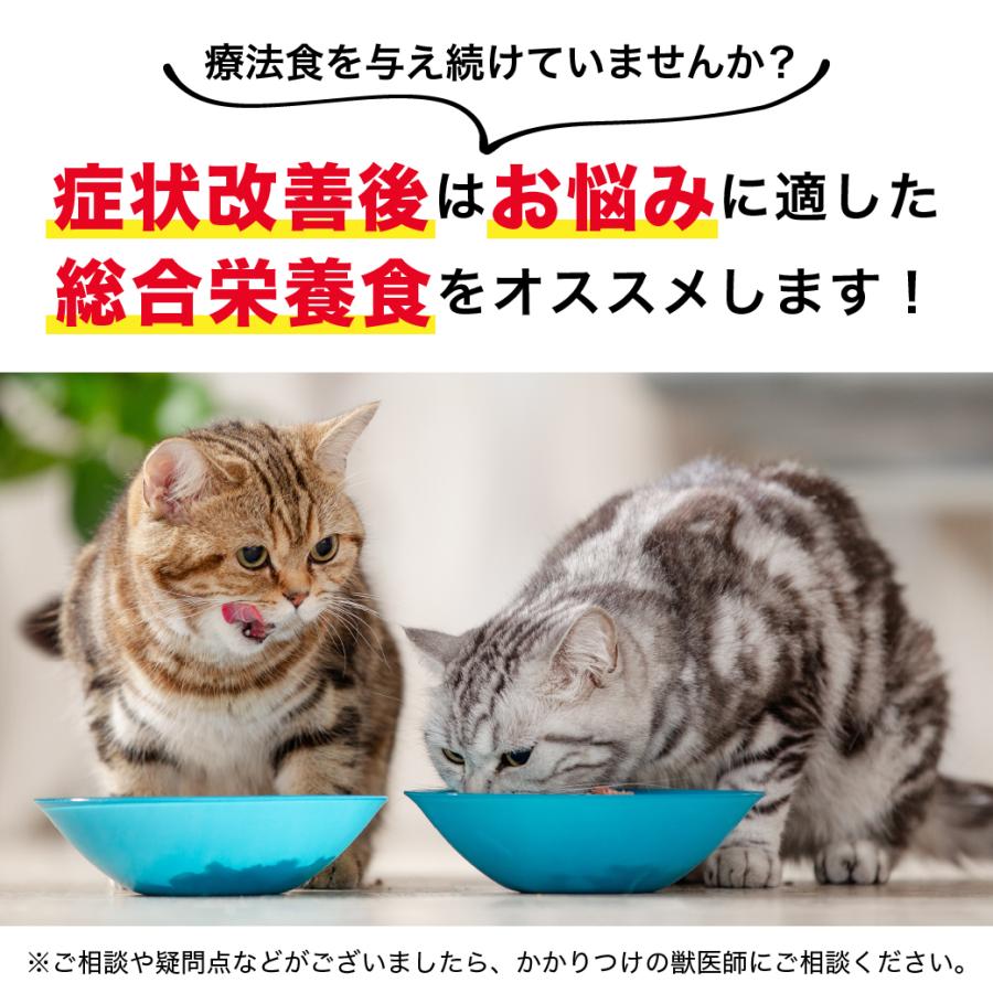 ロイヤルカナン FCN ヘアー＆スキンケア 健康で美しい皮膚・被毛を維持したい成猫用 生後12ヵ月齢以上 2kg [キャットフード] 認定オンラインショップ | ロイヤルカナン | 05