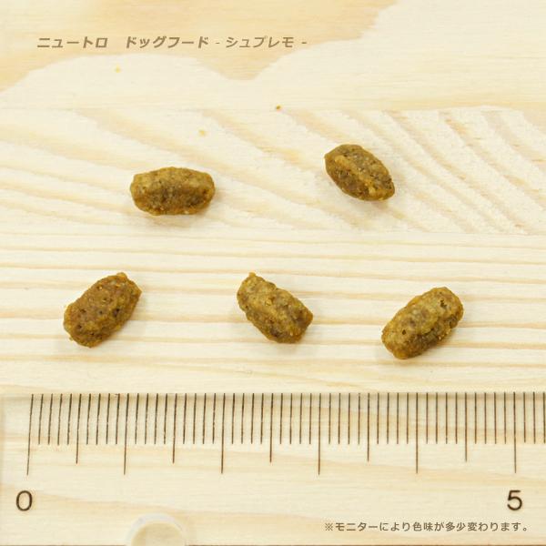 12/13〜12/15限定！ポイント最大＋20％｜公認店 ニュートロ シュプレモ 子犬用 小粒 3kg ドッグフード | シュプレモ | 01