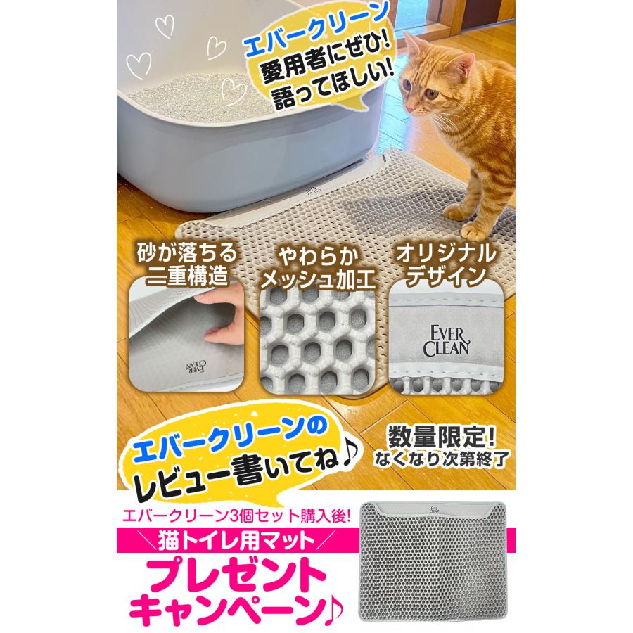 トイレ用マットおまけ付！エバークリーン 無香 芳香 細粒無香 6L×3個
