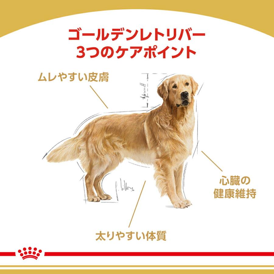 ロイヤルカナン（ROYAL CANIN） 【まとめ買いでお得！】ロイヤルカナン
