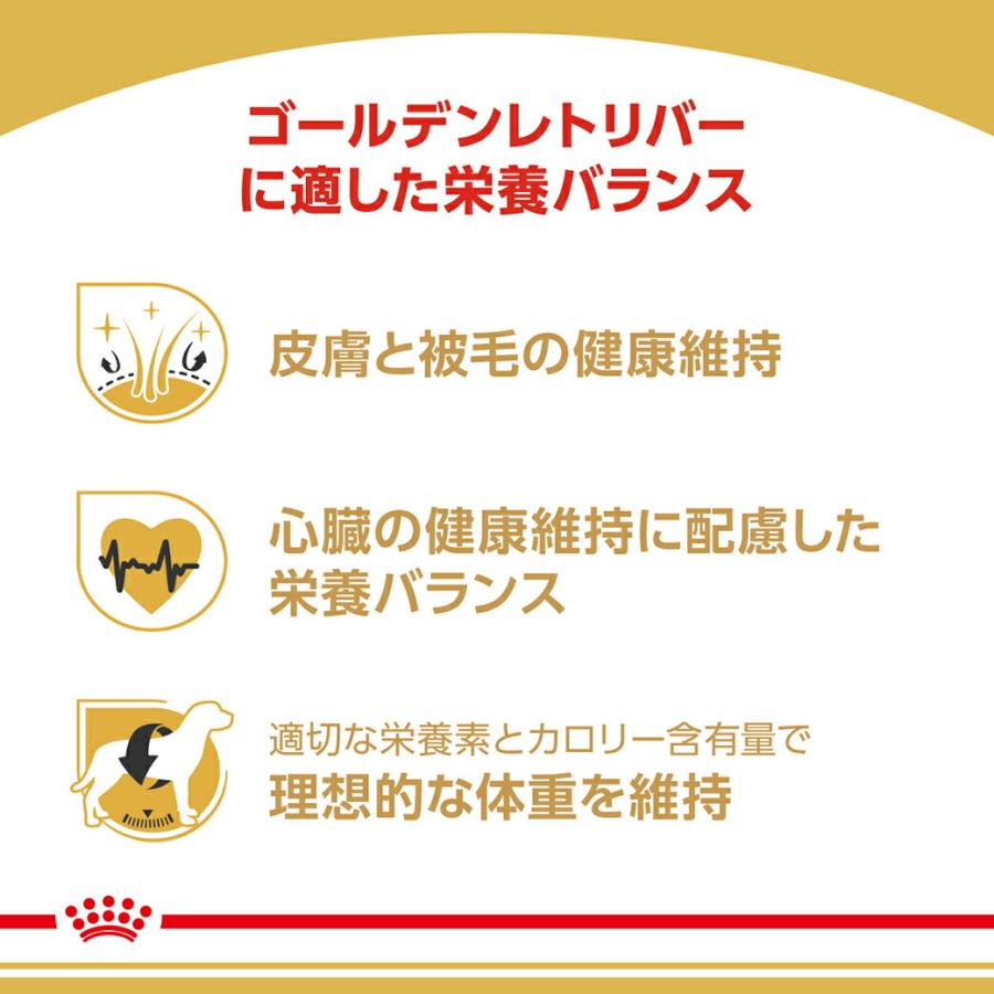 ロイヤルカナン（ROYAL CANIN） BHN ゴールデンレトリバー 成犬〜高齢