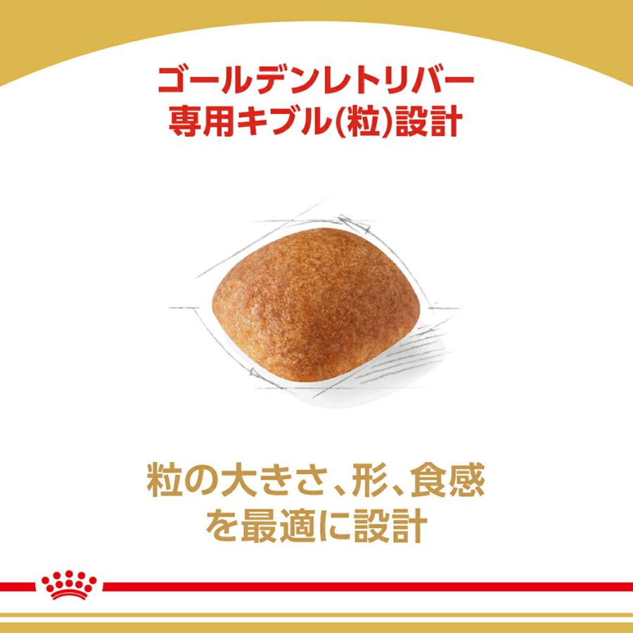 ロイヤルカナン（ROYAL CANIN） BHN ゴールデンレトリバー 成犬〜高齢