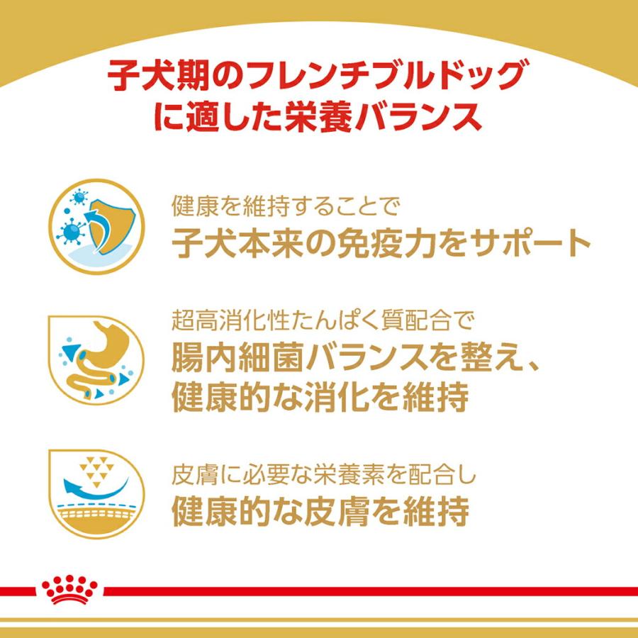 ロイヤルカナン BHN フレンチブルドッグ 子犬用 12ヵ月齢まで 1kg ドッグフード 認定オンラインショップ | ロイヤルカナン | 03