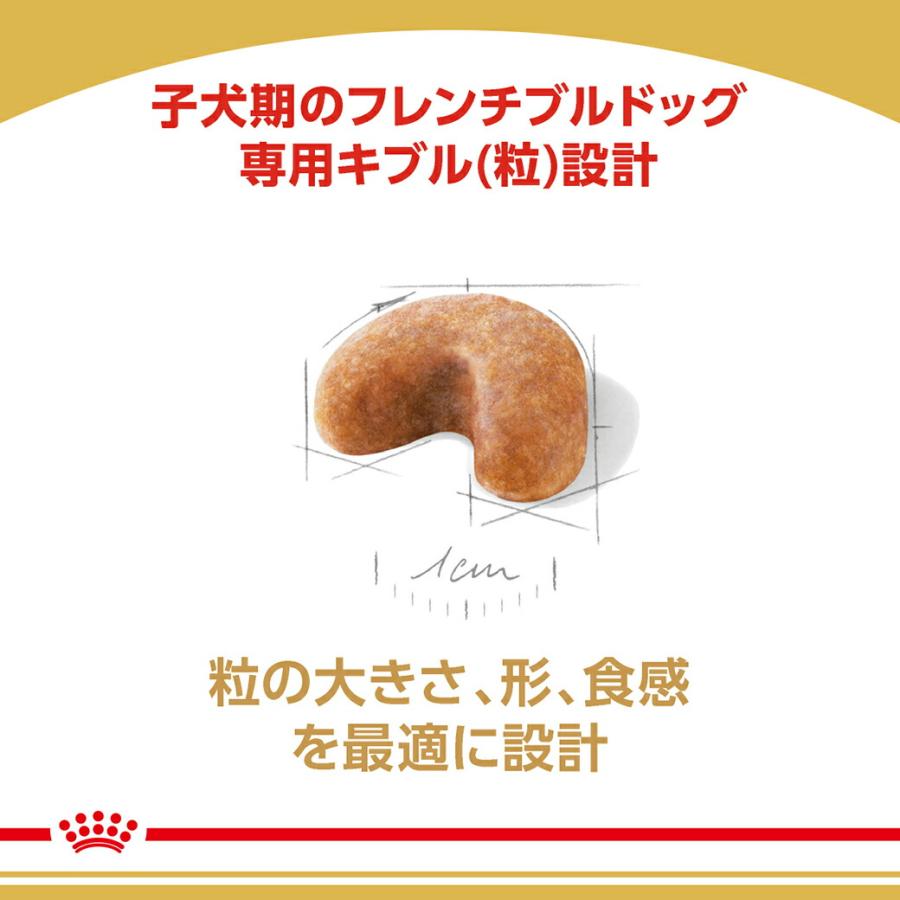 ロイヤルカナン BHN フレンチブルドッグ 子犬用 12ヵ月齢まで 1kg ドッグフード 認定オンラインショップ | ロイヤルカナン | 04