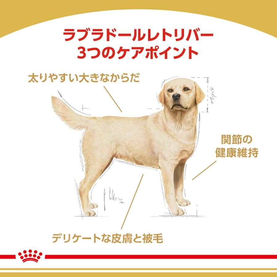 ロイヤルカナン（ROYAL CANIN） BHN ラブラドールレトリバー 成犬
