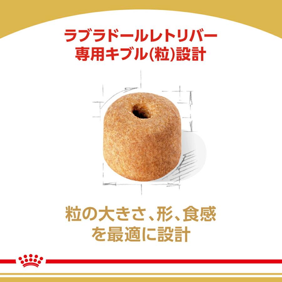 ロイヤルカナン（ROYAL CANIN） ラブラドール レトリバー 12kg 成犬用