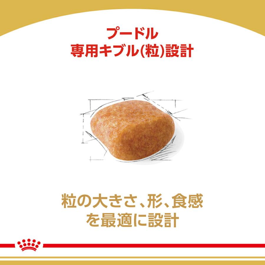 ロイヤルカナン（ROYAL CANIN） 【まとめ買いでお得！】ロイヤルカナン