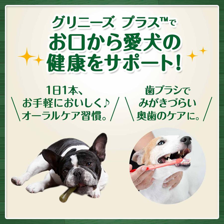 公認店 グリニーズプラス カロリーケア 小型犬用 7-11kg 6本入 オーラルケア｜kurosu｜06