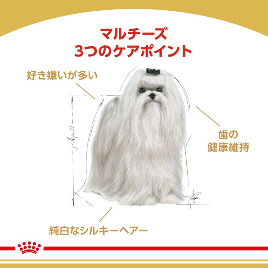 ロイヤルカナン BHN マルチーズ 成犬〜高齢犬用 10ヵ月齢以上 1.5kg ドッグフード 認定オンラインショップ | ロイヤルカナン | 02