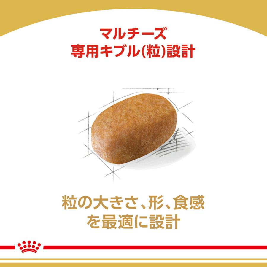 ロイヤルカナン BHN マルチーズ 成犬〜高齢犬用 10ヵ月齢以上 1.5kg ドッグフード 認定オンラインショップ | ロイヤルカナン | 04