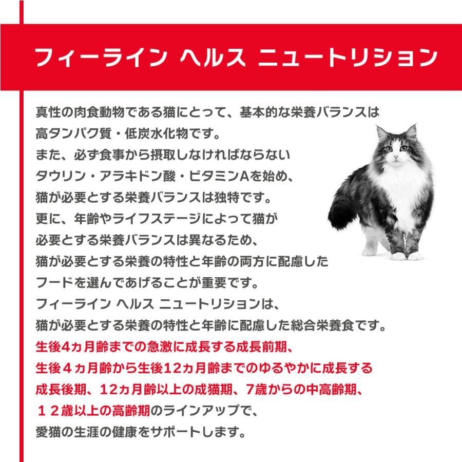 まとめ買いでお得！ロイヤルカナン FHN エイジング 11+ 11歳以上の高齢猫用 4kg×2袋セット キャットフード 認定オンラインショップ_2