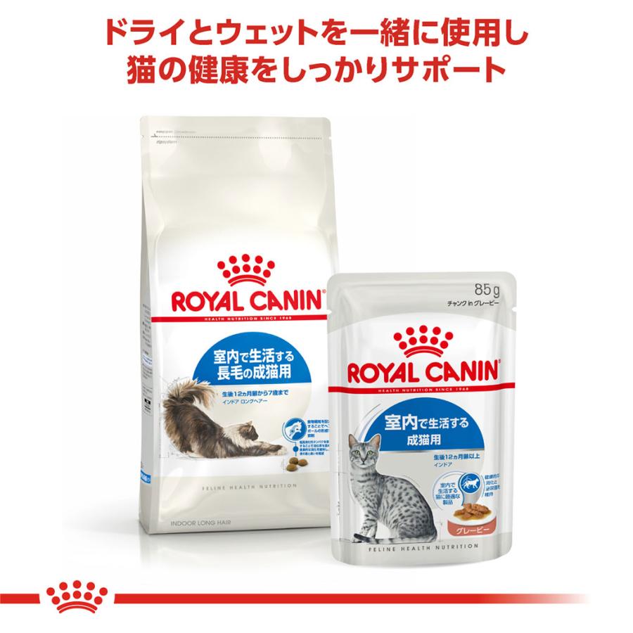 ロイヤルカナン室内長毛キャットフード10kg X ２袋 ロイヤルカナン（ROYAL CANIN） 【まとめ買いでお得！】ロイヤルカナン