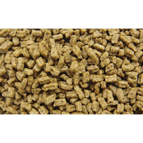 公認店 ニュートロ ナチュラル チョイス 避妊・去勢犬用 超小型犬〜小型犬用 エイジングケア チキン＆玄米 3kg  [ドッグフード] | ナチュラルチョイス | 01