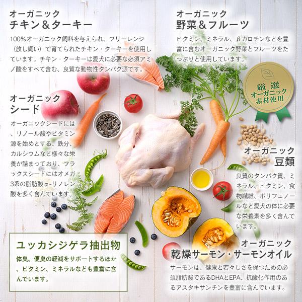 ソルビダ（SOLVIDA） グレインフリー チキン 室内飼育 体重管理用 5.8