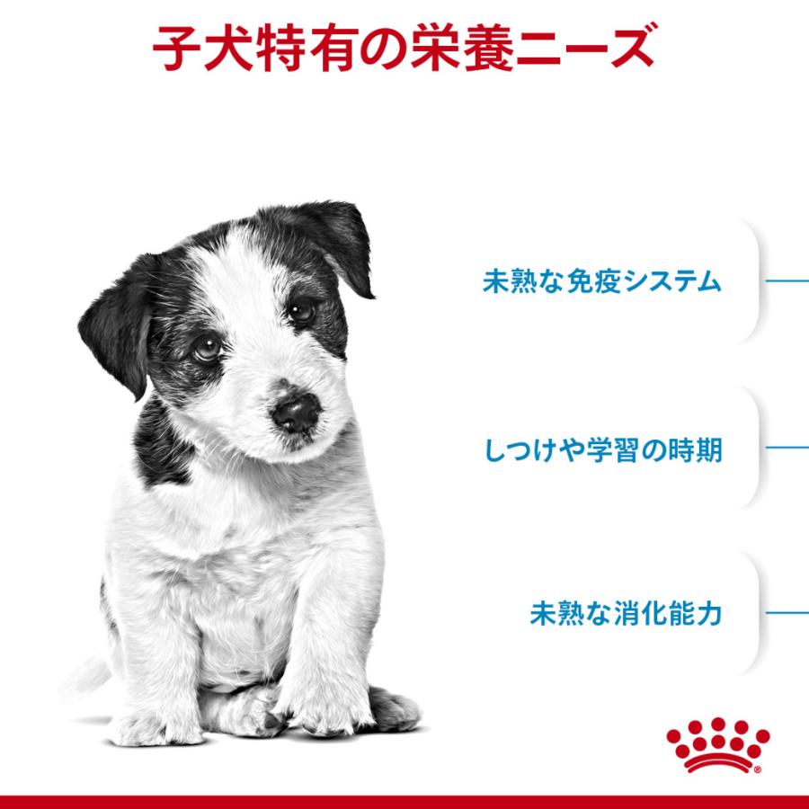 ロイヤルカナン ドッグフード SHN ミニ パピー 子犬 小型犬用 800g｜kurosu｜02