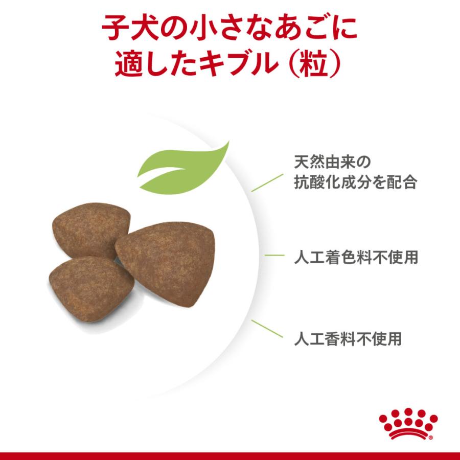 まとめ買いでお得！ロイヤルカナン SHN ミニ パピー 小型犬の子犬用 生後2ヵ月齢から10ヵ月齢まで 成犬時体重10kgまで 2kg×2袋セット [ドッグフード] | ロイヤルカナン | 04