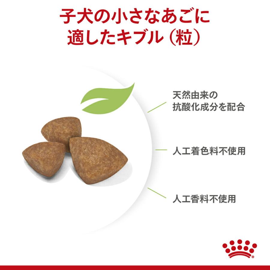 ロイヤルカナン SHN エクストラ スモール パピー 超小型犬の子犬用 生後2ヵ月齢から10ヵ月齢まで 3kg ドッグフード 認定オンラインショップ | ロイヤルカナン | 03