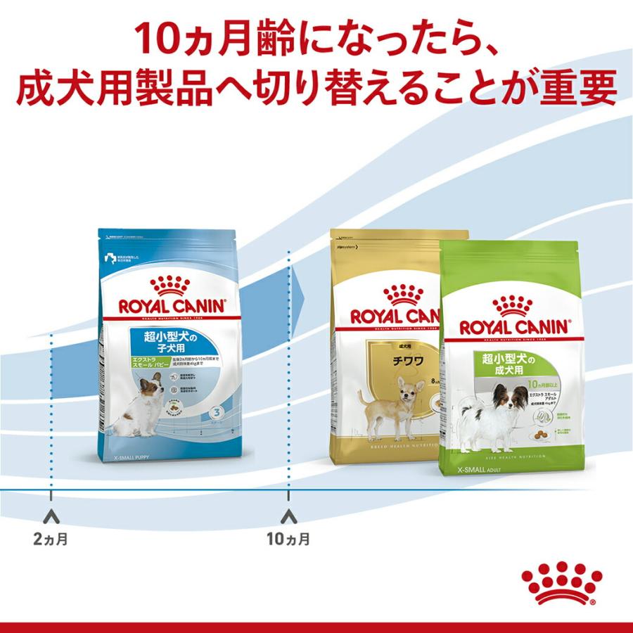 ロイヤルカナン SHN エクストラ スモール パピー 超小型犬の子犬用 生後2ヵ月齢から10ヵ月齢まで 3kg ドッグフード 認定オンラインショップ | ロイヤルカナン | 04