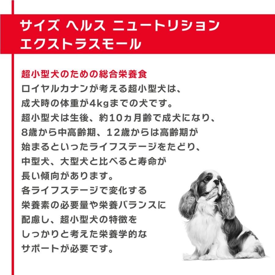 まとめ買いでお得！ロイヤルカナン SHN エクストラ スモール アダルト 8+ 超小型犬の中高齢犬用 8歳以上 成犬時体重4kgまで 3kg ×4袋セット[ドッグフード]_1