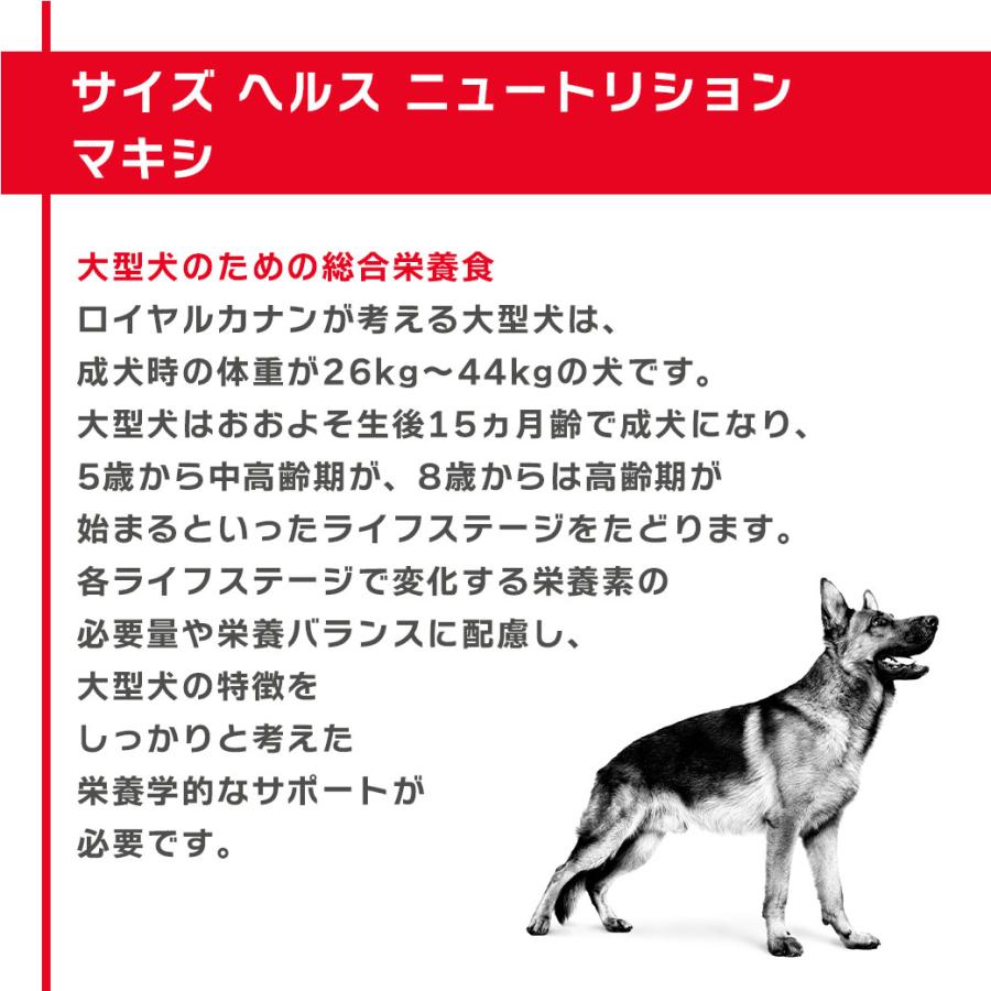 ロイヤルカナン（ROYAL CANIN） SHN マキシ エイジング 8+ 大型犬 高齢