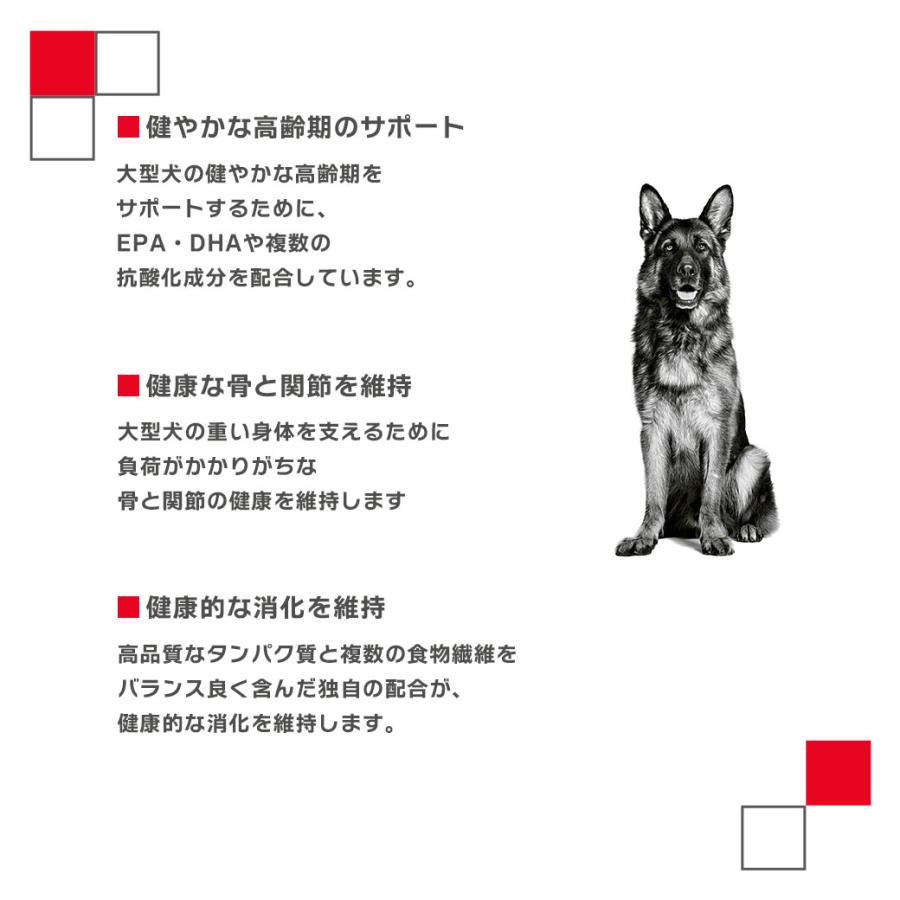 ロイヤルカナン（ROYAL CANIN） SHN マキシ エイジング 8+ 大型犬 高齢