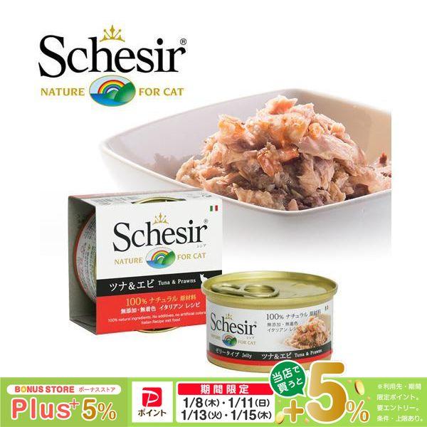シシア 猫 Schesir キャットフード ツナ＆エビ ゼリータイプ 85g （ウェットフード・猫缶/成猫用 アダルト/ペットフード