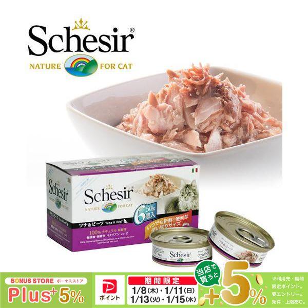 シシア 猫 Schesir キャットフード ツナ＆ビーフフィレ ゼリータイプ マルチパック 50g×6P （ウェットフード/成猫用 アダルト