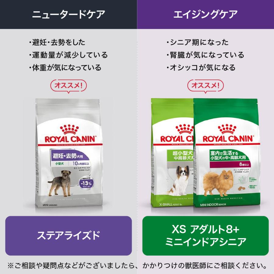 ロイヤルカナン（ROYAL CANIN） SHN ミニ インドア シニア 室内で生活
