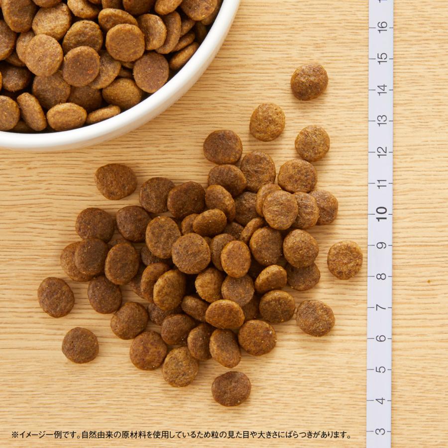 公認店 ニュートロ ワイルドレシピ 超小型犬〜小型犬用 成犬用 ラム 4kg ドッグフード | WILD RECIPE | 01