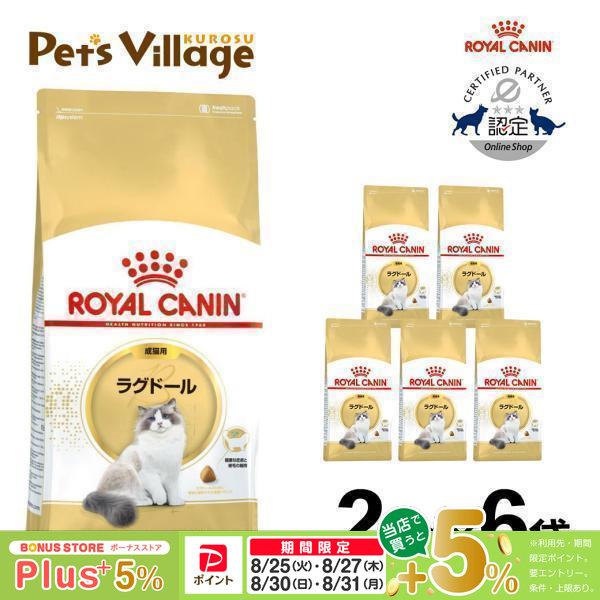 新品】 ロイヤルカナン ラグドール 成猫用 2kg×2袋 楽天市場】ロイヤル