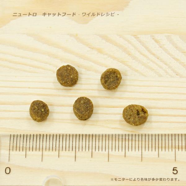 ニュートロ ワイルドレシピ キャットフード キトン(子猫) チキン 400g ■ 幼猫 :ナチュラルキャットフード|kurosu|02
