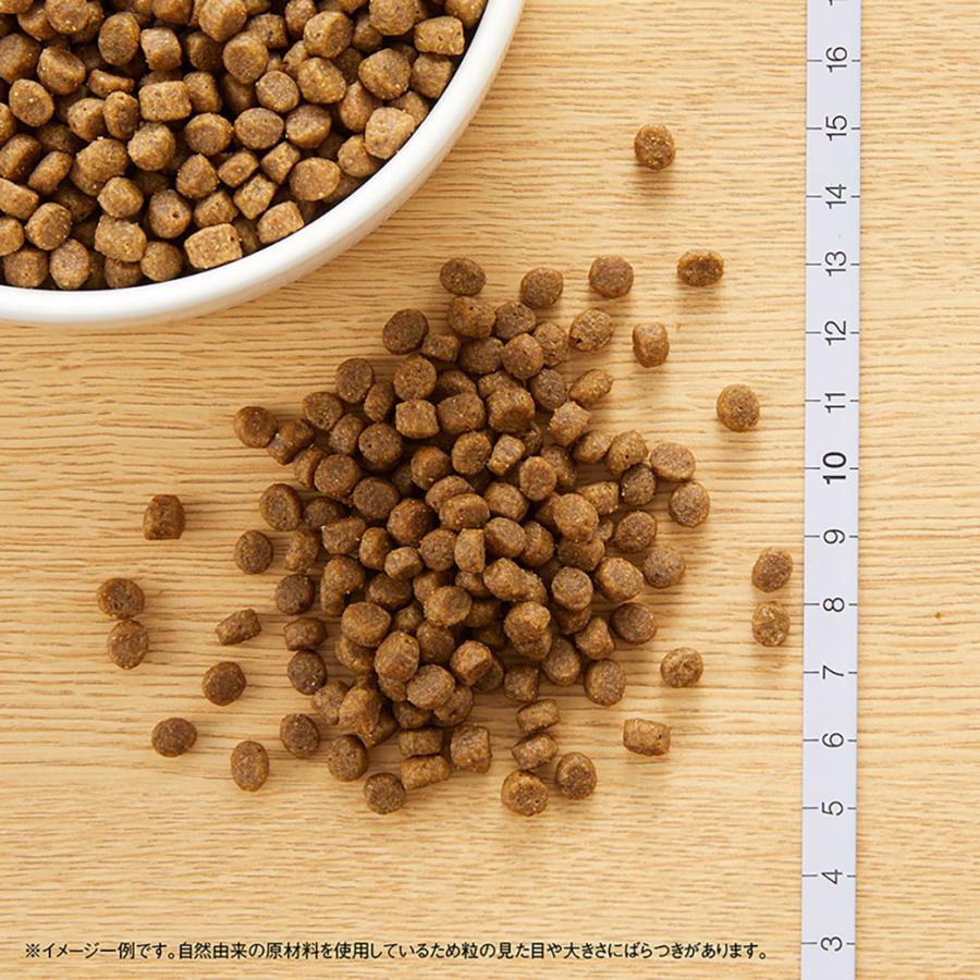 ニュートロ ワイルドレシピ キャットフード キトン(子猫) チキン 400g ■ 幼猫 :ナチュラルキャットフード|kurosu|03