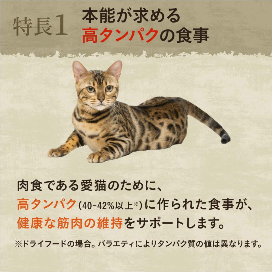 ニュートロ ワイルドレシピ キャットフード キトン(子猫) チキン 400g ■ 幼猫 :ナチュラルキャットフード|kurosu|04