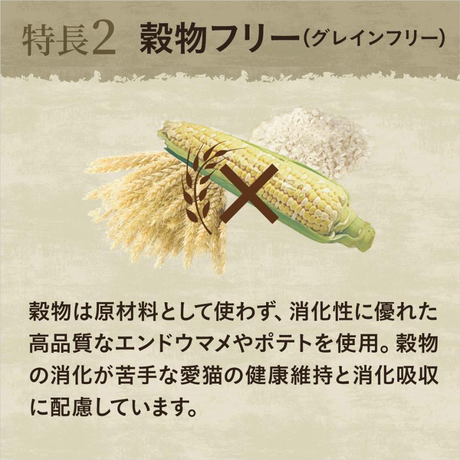 ニュートロ ワイルドレシピ キャットフード キトン(子猫) チキン 400g ■ 幼猫 :ナチュラルキャットフード|kurosu|05